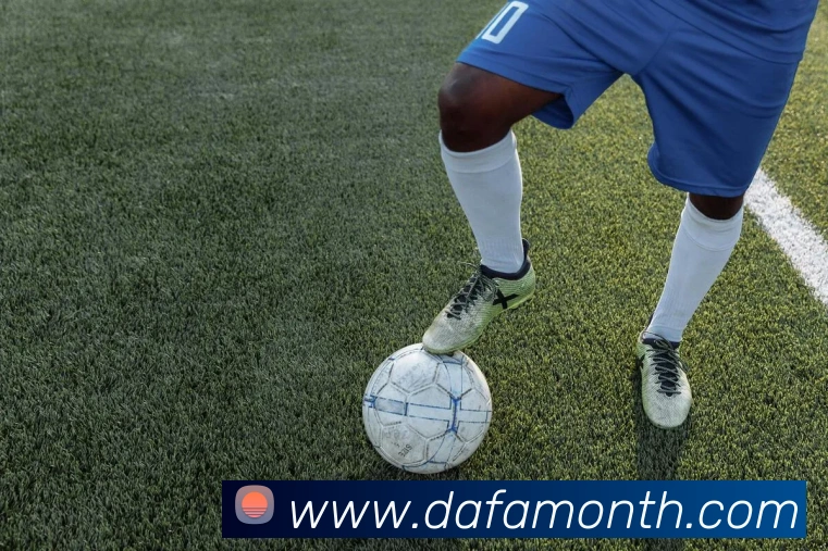 大发官网平台生态图